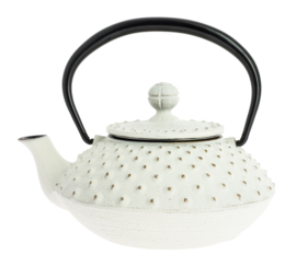 Kanbin Iwachu Tetsubin Teapot Golden White 320ml