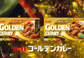 S&B Golden Curry Chukara Medium Hot 220g