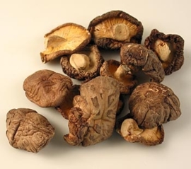 Shiitake Mushroom gedroogd  100g