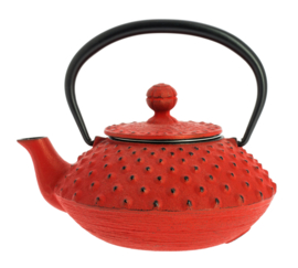 Kanbin Iwachu Tetsubin Teapot Red 320ml