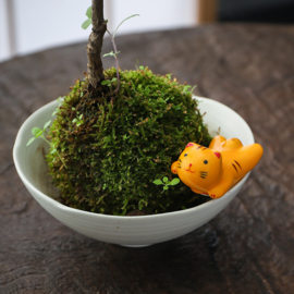 せいかつ Nippon Chopstick Holder Cutty Cats 5pcs