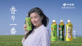 Itoen Oi Ocha Ryokucha Groene thee 340ml