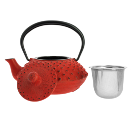 Kanbin Iwachu Tetsubin Teapot Red 320ml