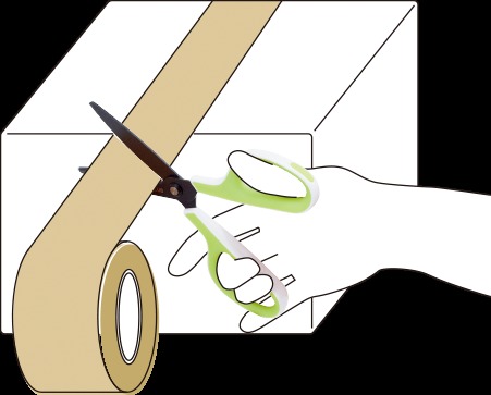 PLUS fit Curve PLUS fit Curve