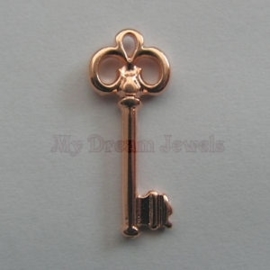 DQ Hanger Sleutel "Rose Gold"