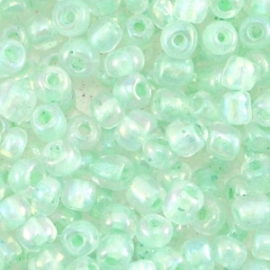 Rocailles Rainbow Mint Groen 4mm 