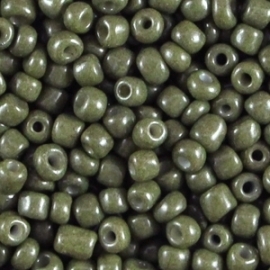 Rocailles Pale Dark Green  4mm 