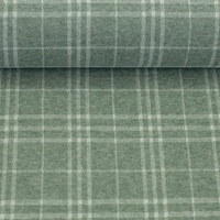 Jaquard jersey groen 1