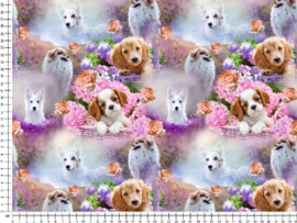 Hondjes ( GOTS)