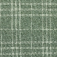 Jaquard jersey groen 1
