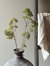 Zijde Tak Achillea Groen