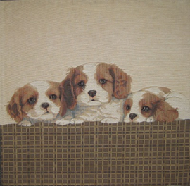 Gobelin Kussen Puppies
