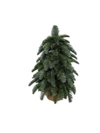 Nobilis Boom Seide mit Jute 60 cm