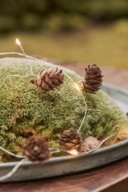 Lichtergirlande mit Tannenzapfen
