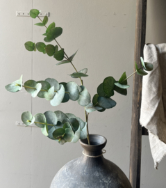 Zijde Tak Eucalyptus 87 cm