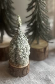 Dennenboompje Small 4