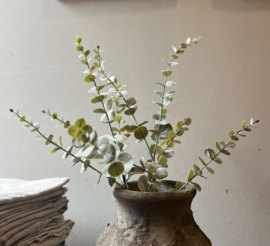 Seidenzweig Eukalyptus 73 cm