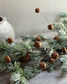 Tak met Kerstbel Roest