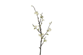 Zijdetak Bloesem 85 cm