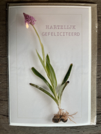 Ansichtkaart "Hartelijk Gefeliciteerd"