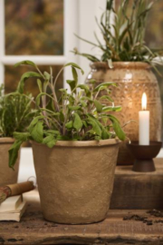 Stenen Pot Large