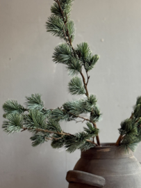 Zijde Tak Kerst Ceder Large