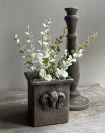 Cadeauset Planter Ram Majestic Brown -Brynxz-