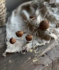 Kerstbel tak S Roest