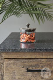Glaspot Groningen Medium | Glass Collection