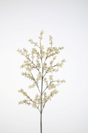 Seidenzweigflaum 108 cm