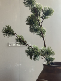 Zijde Tak Kerst Ceder Medium