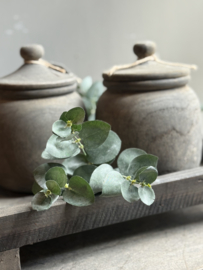 Zijde Takje Eucalyptus 28 cm