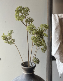 Zijde Tak Achillea Groen