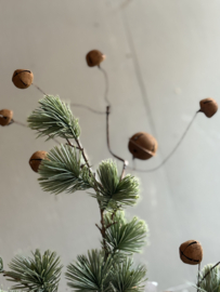 Zweig mit Weihnachtsglocke Rost M