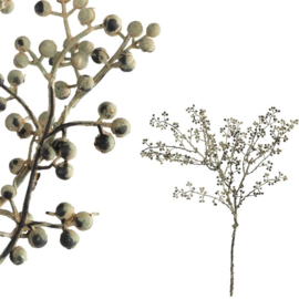 Seidenzweigbeeren Grau -PTMD-