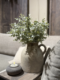 Eucalyptus Bush 35x45 cm