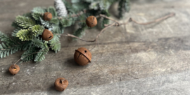 Zweig Weihnachtsglocke S Rust