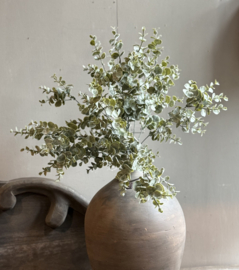 Eucalyptus Bush 35x45 cm
