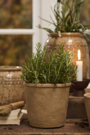 Stenen Pot Medium
