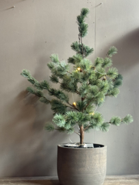Kerstboom Zijde Small