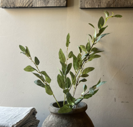 Zijde Tak Eucalyptus 85 cm