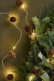 LED Lampjes Dennenappels