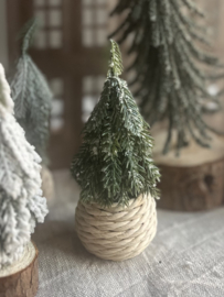 Dennenboompje Small 1