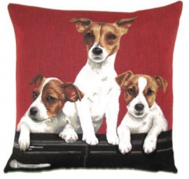 Gobelin Kissen Jack Russels