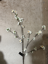 Zijde Tak Daisy White 110 cm