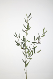 Zijdetak Olijf 129 cm