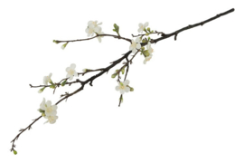 Zijdetak Bloesem 85 cm