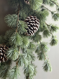 Zijde Krans Kerst Ceder 60 cm