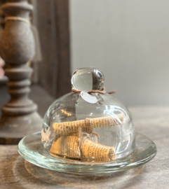 Glas Butterblume -Hoffz-