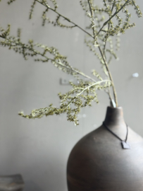 Seiden-Asparaguszweig 130 cm